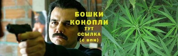apvp Новозыбков