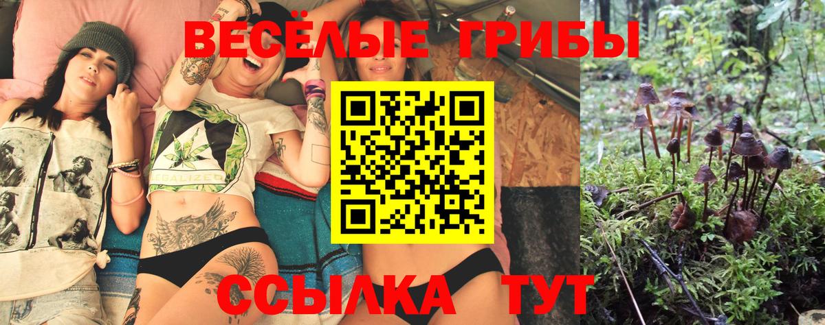 Псилоцибиновые грибы мицелий Рассказово