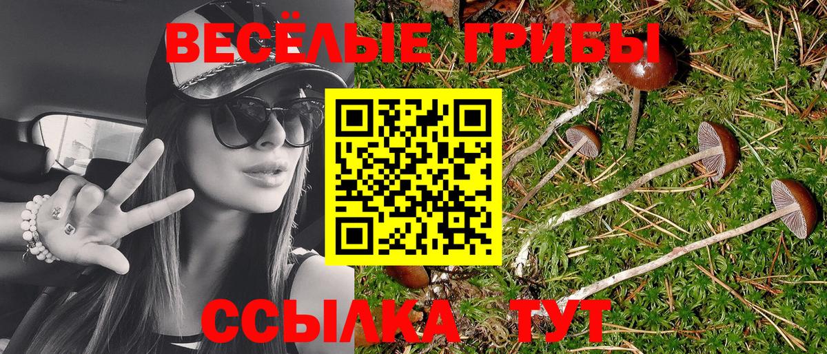 Галлюциногенные грибы прущие грибы  Вход с VPN  Рассказово 